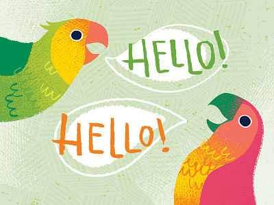 Hello Parrots bird design gift card illustration lettering starbucks vector