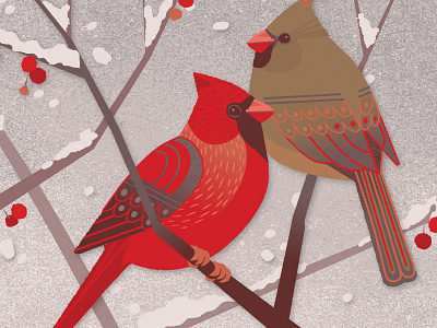 Winter Cardinals berry bird gift card illustration nature snow starbucks vector winter