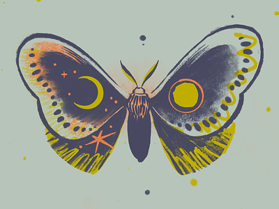 May Moth bug design graphic illustration illustration agency insect moody nature palette print
