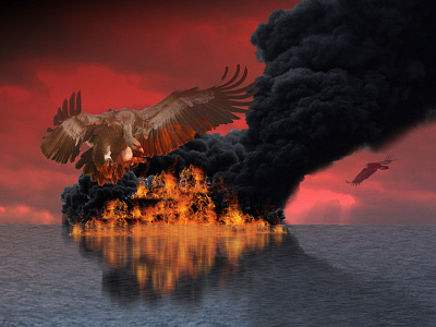 The Vulture attacks surreal imagery island photomanipulation photoshop sea surreal vulture