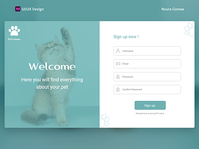 Sign up ui page ui