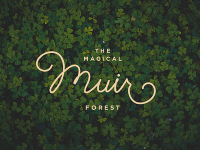 Magical Muir branding forest lettering magic muir type typography woods