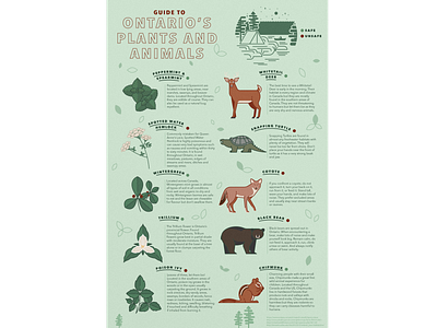 Ontario's Plants & Animals