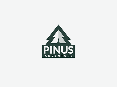 PINUS Adventure's logo
