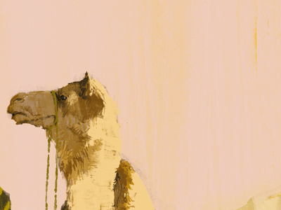 Camel colour illustration marc aspinall wip