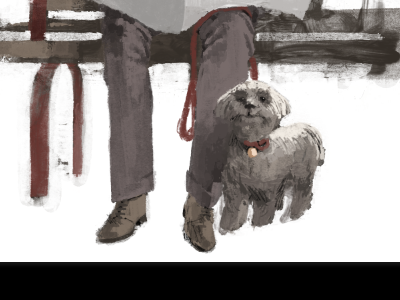 Woof colour illustration marc aspinall wip