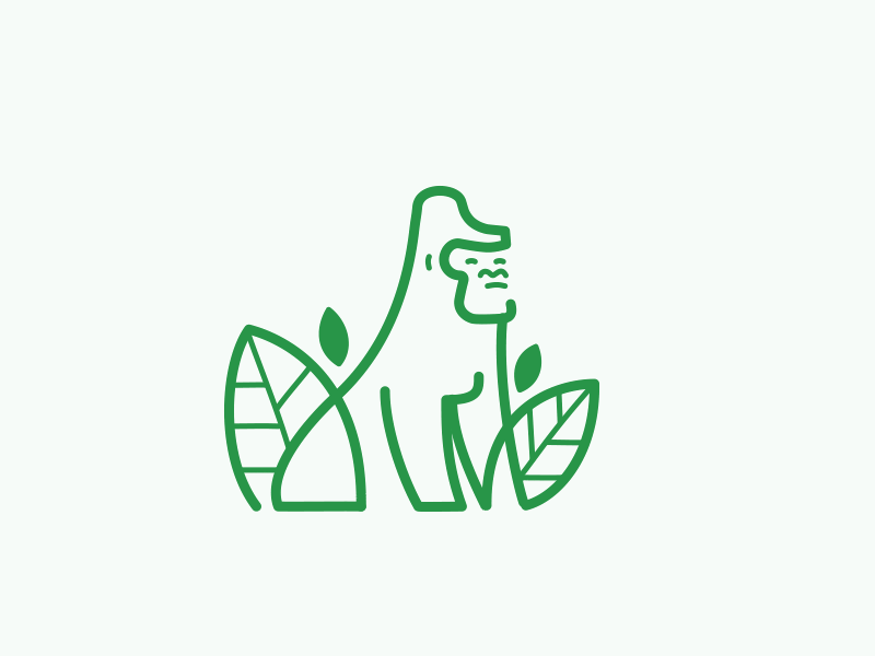 Gorilla Silverback - Logo animation