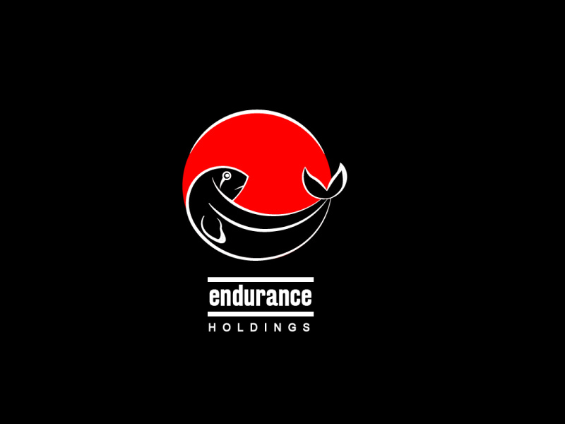 Endurance Logo by Mitchell Siziba on Dribbble