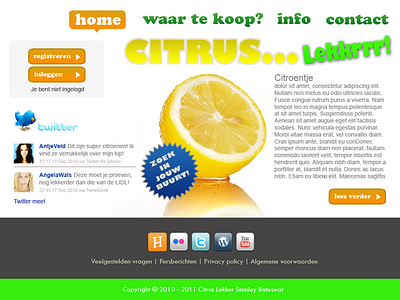 Design for sanguine types (MBTI) citrus design interface mbti sanguine vid visual webdesign