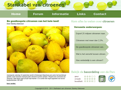 Design for choleric types (MBTI) choleric citrus design interface mbti vid visual webdesign