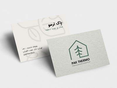 Pak Thermo Branding branding graphic design illustration logo