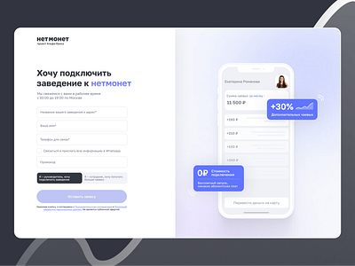 NetMonet redesign of an application form application form design form interface redesign ui ux