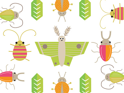 Don't Mean to Bug You... beetles bugs design green illustration illustrator insect insects moth pink