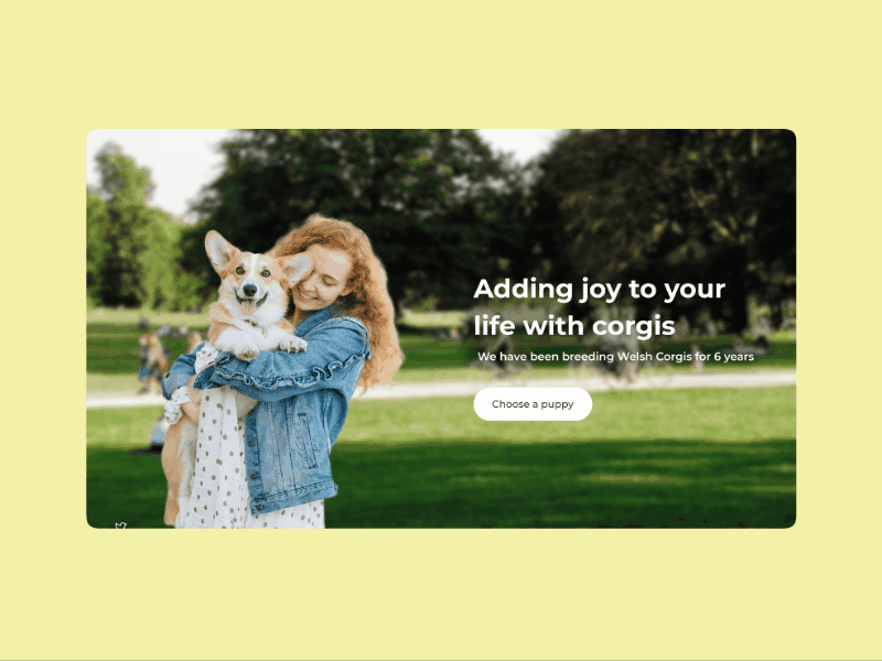 3 Daily UI - Landing Page animation corgi designer joy landing page life nursery ui user interface