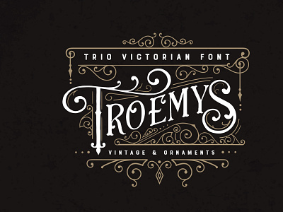 Troemys Font Trio and extras display fonts fonts handwritten lettering vintage font