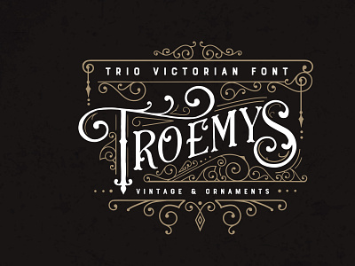 Troemys Font Trio and extras