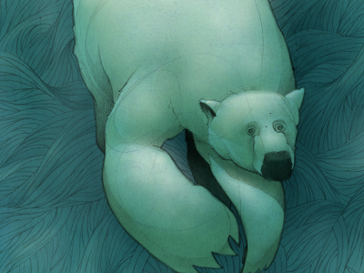 Polar Bear arctic bear blue cold ice illustration polar bear swimming water