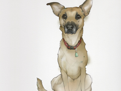 Dog Portrait digital dog illustration portrait