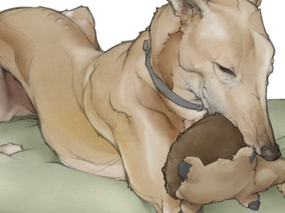 Greyhound digital dog greyhound illustration portrait