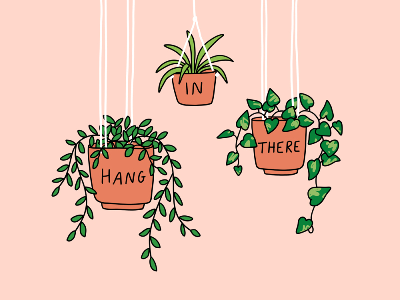 Draw A Mint Plant, HD Png Download - vhv