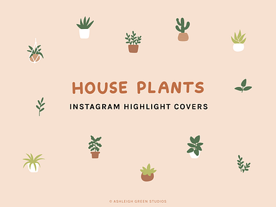 House Plants icon set branding flat icons hanging plants houseplants influencer marketing instagram highlights instagram stories leaves minimal icons plants potted plants social media icons