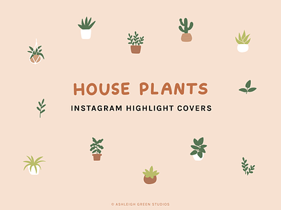 House Plants icon set