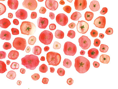tomato collage gouache pattern sva tomato watercolour