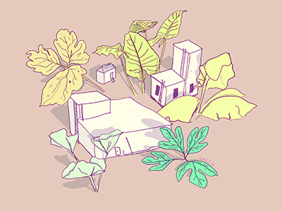 Buildings and plants