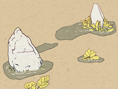 digital collage detail detail iceland illustration photoshop plants puddles rocks