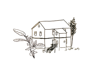 house + plants drawing house iceland illustration pen plants