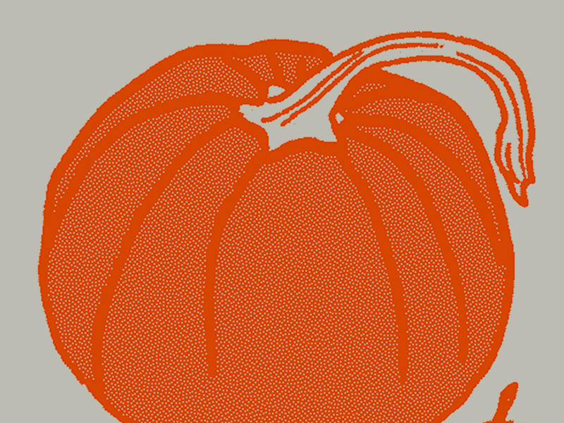 Pumpkin By Ashleigh Green On Dribbble