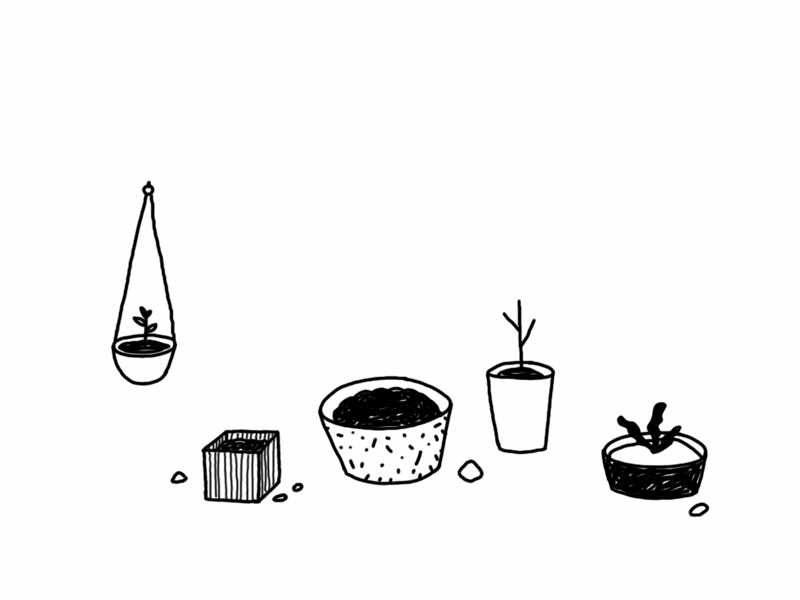 day 28 30 days of animation animation gif growth herb garden illustration photoshop plants