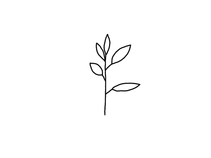 plant animation animator gif leaves line drawing minimal photoshop plant spin