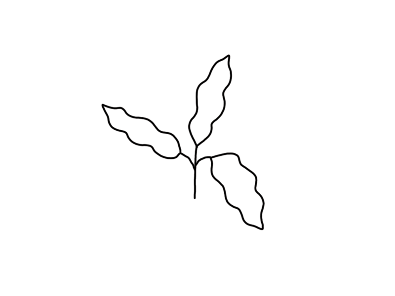 wavy leaves animation gif leaves photoshop plant