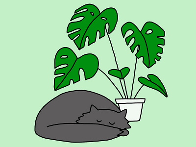 Pets + Plants Portraits 30 days of plants cat green houseplant illustration leaves line drawing photoshop plants sleeping