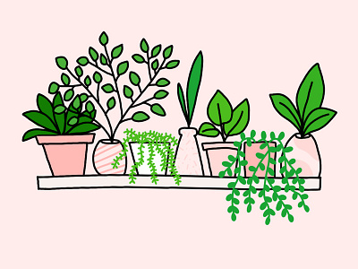 Plant Shelf 30 days of plants garden green hand houseplant houseplants illustration line drawing photoshop plants vines