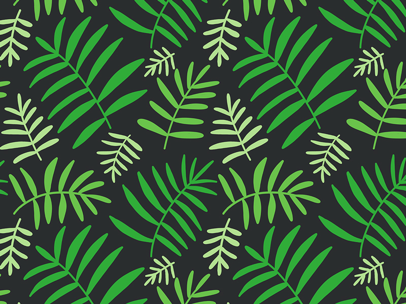 Day 28 30 days of plants drawing fern green handdrawn houseplant illustration pattern plants