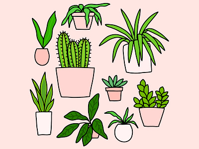 Plant Collection 30 days of plants garden green hand houseplant houseplants illustration line drawing photoshop plants vines