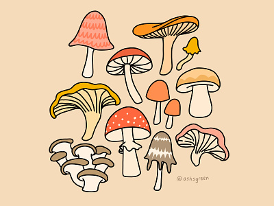 Mushrooms! edible food foraging forest illustration illustrator mushrooms pattern photoshop print wild