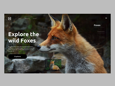 Foxes branding design illustration illustrator ui ux web webdesign website website design