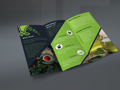 Trifold Brochure Design branding brochure brochure design brochure template creative design elegant illustration professional simple trifold trifold brochure