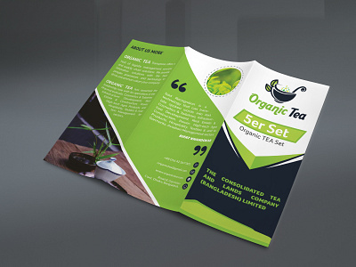 Trifold Brochure