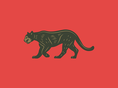 Puma cougar illustration mountain lion puma