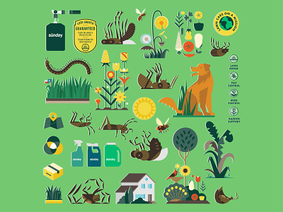 Sunday Lawn Care Illustrations garden grass illustration insects lawn pests