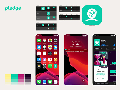 Pledge - iOS Icon appbranding appdesign appicon branding branding and identity digital product uidesign