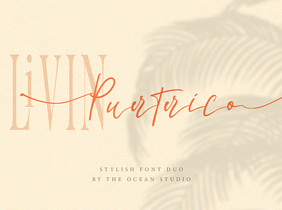 La Lune Font Duo branding elegant font font font awesome lettering logo design logotype modern design modern logo script script font script lettering serif signature font signature logo signatures template typogaphy