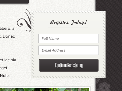 Register Widget - Flourishes resim