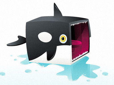 Orca illustration