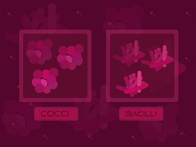 Types Of Bacteria | Bacteria awareness video animation creative design flat hot illustration illustrator vector