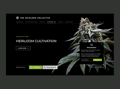 The Heirloom Collective Hero branding cannabis design figma hero style ui ux web web design webdesign